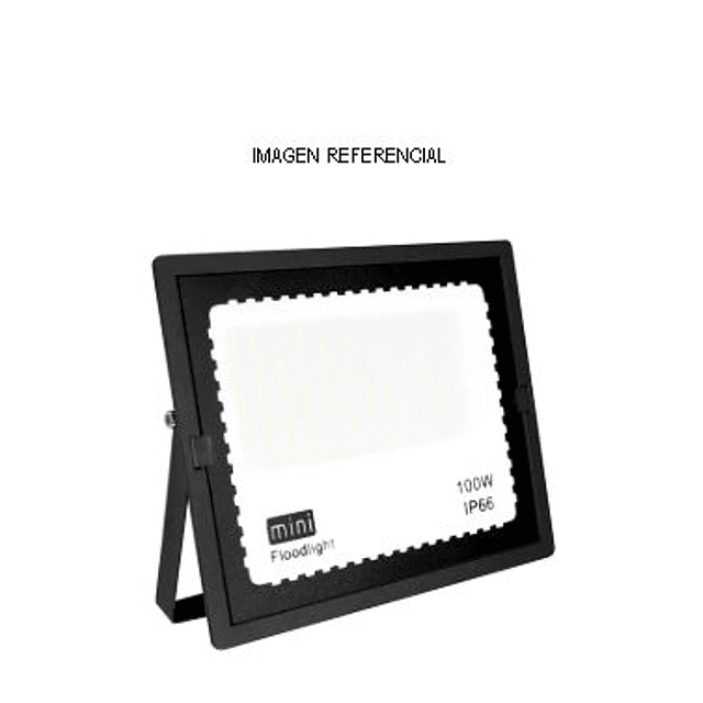 Foco Proyector 100W IP66