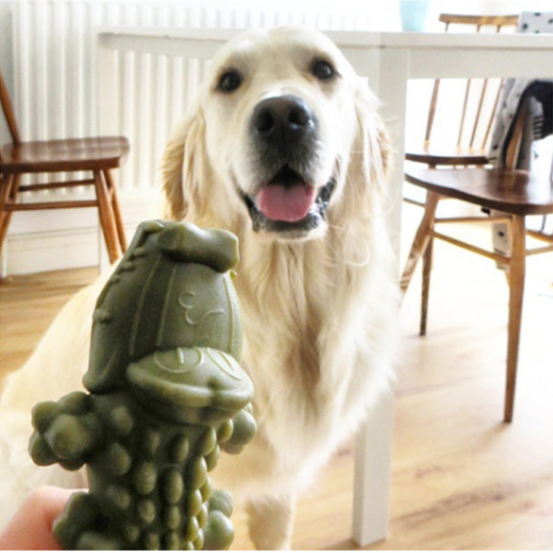 Cocodrilo x UND - Talla M - LIMPIA DIENTES Vegetano para Perros Whimzees  3