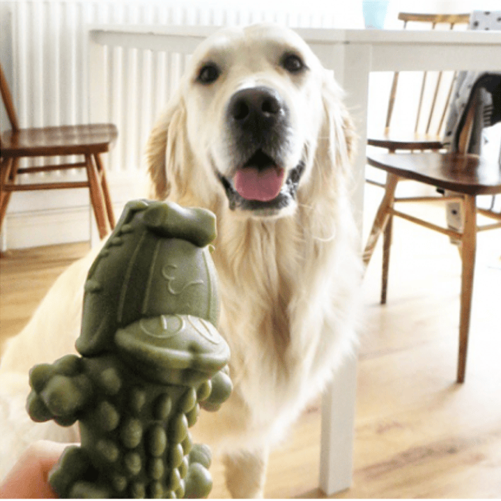 Cocodrilo x UND - Talla M - LIMPIA DIENTES Vegetano para Perros Whimzees  3