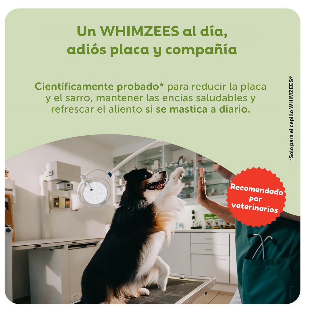 Cocodrilo x UND - Talla M - LIMPIA DIENTES Vegetano para Perros Whimzees  4