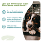 WHIMZEES® Toothbrush x UND Limpia Dientes Vegano de Uso Diario para Perros - Miniatura 4