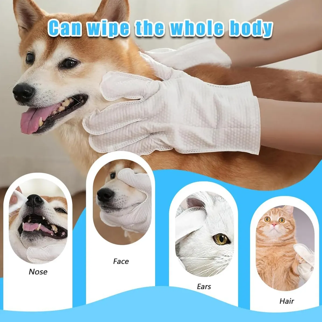 Guante tipo toalla PET Glove Wipe 6 PCS/PACK - Limpieza General 3