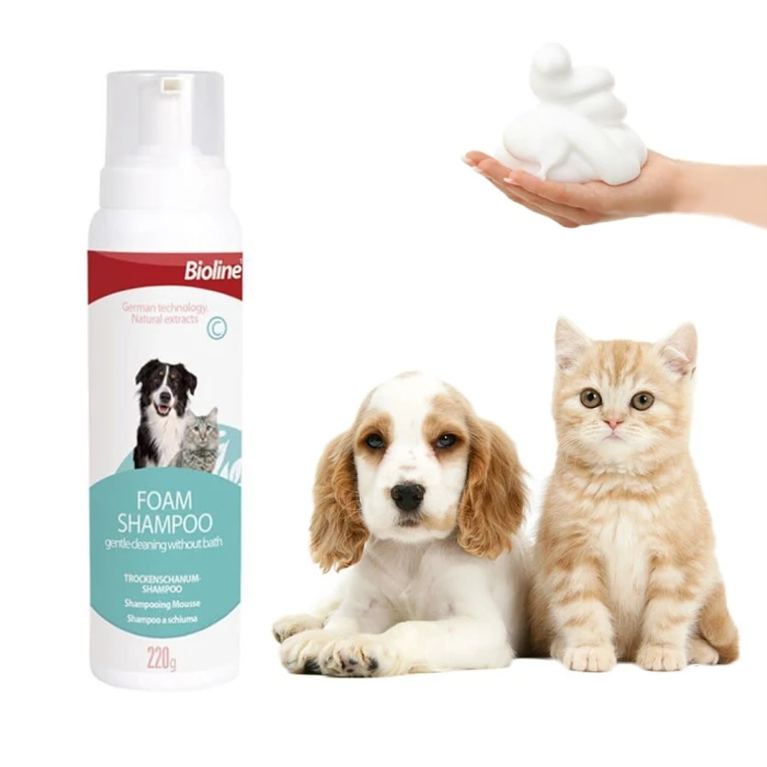 Bioline Shampoo Espuma Seca 220 gr 1