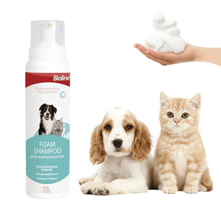 Bioline Shampoo Espuma Seca 220 gr 1