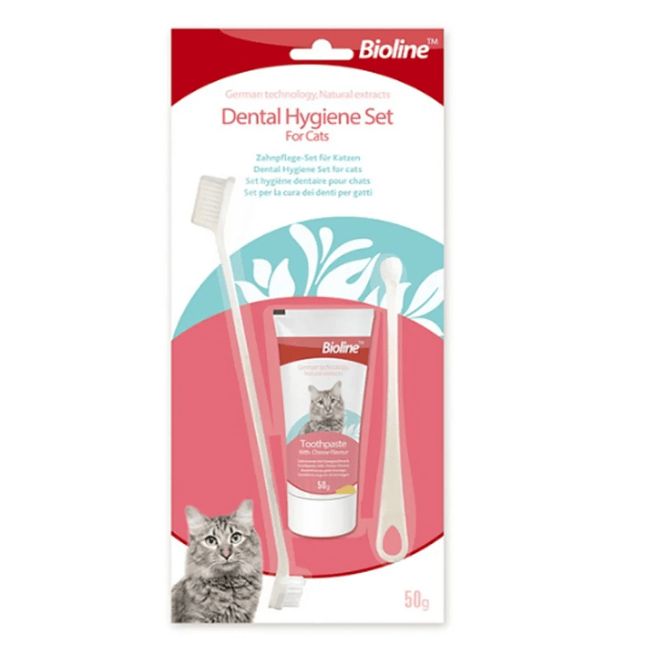 Kit Higiene Dental para Gatos (2 Cepillos + pasta dental) 1