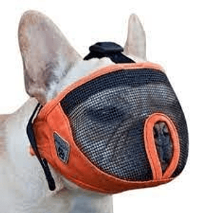 BOZAL - Braquicefalos - Talla M Peso 9-13kg