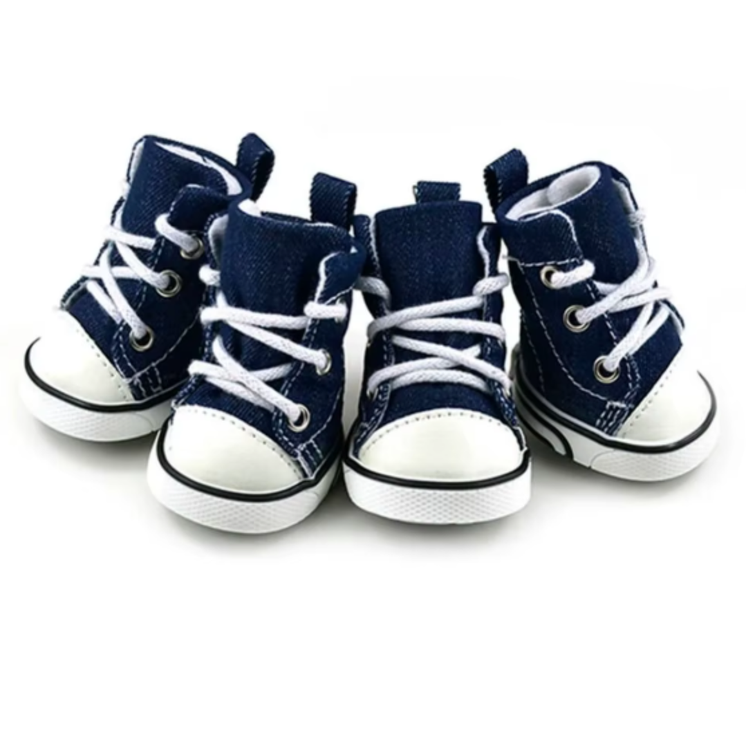Zapatos Converse para perro talla 5 2