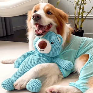 Juguete de peluche de oso azul - Chirriante 40 cm