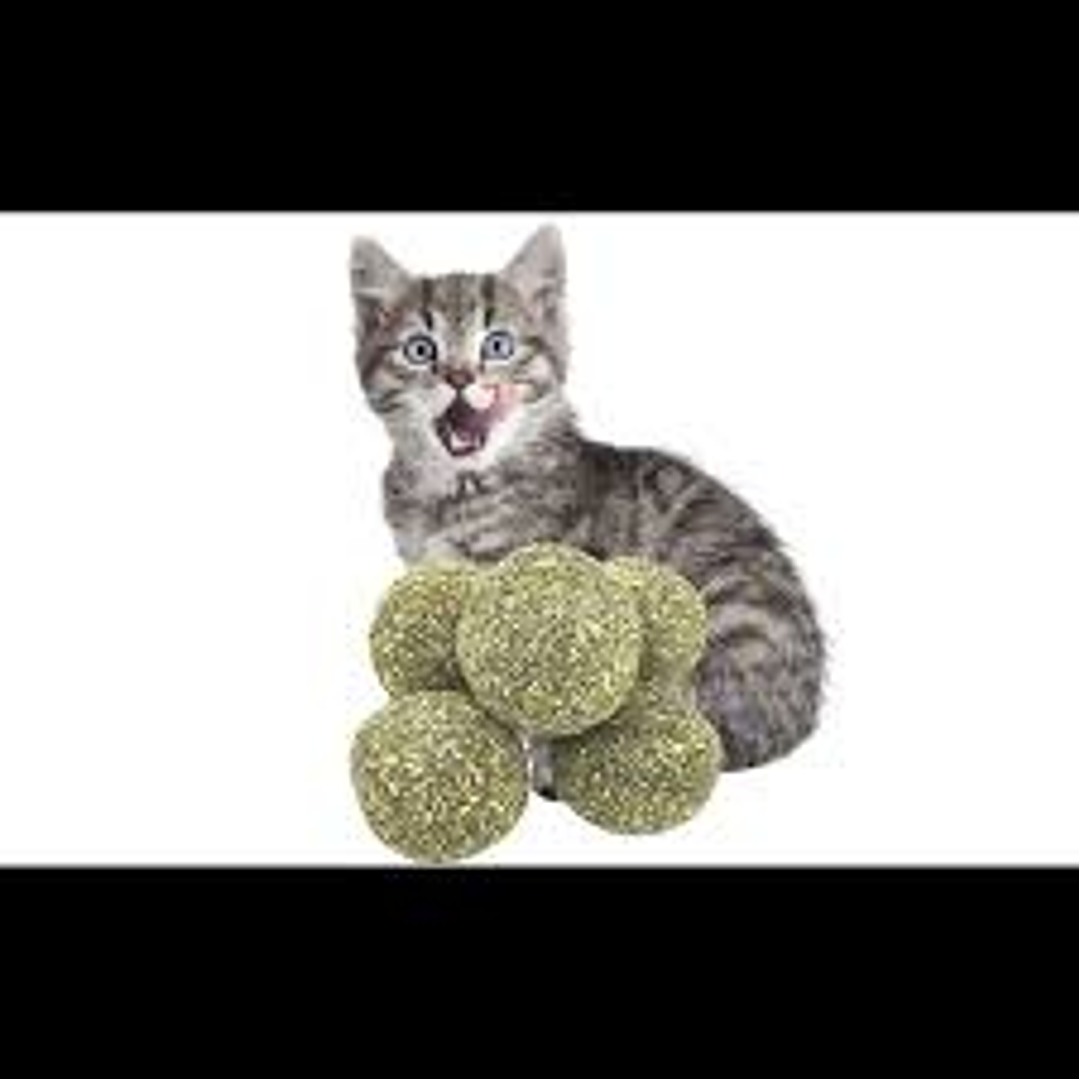 Wonder Cat - 5 Pelotas de Catnip 1