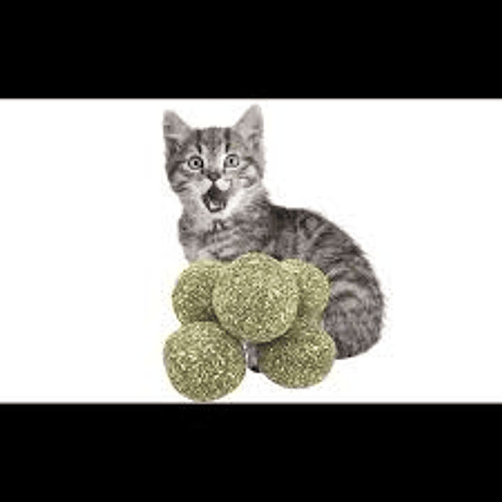 Wonder Cat - 5 Pelotas de Catnip 1