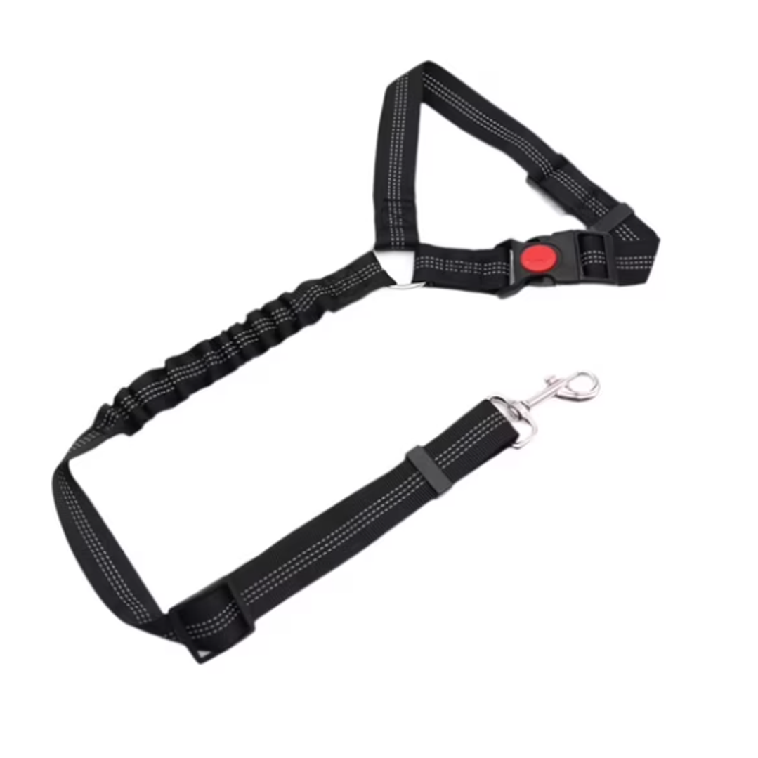 CORREA de Seguridad AUTO 1