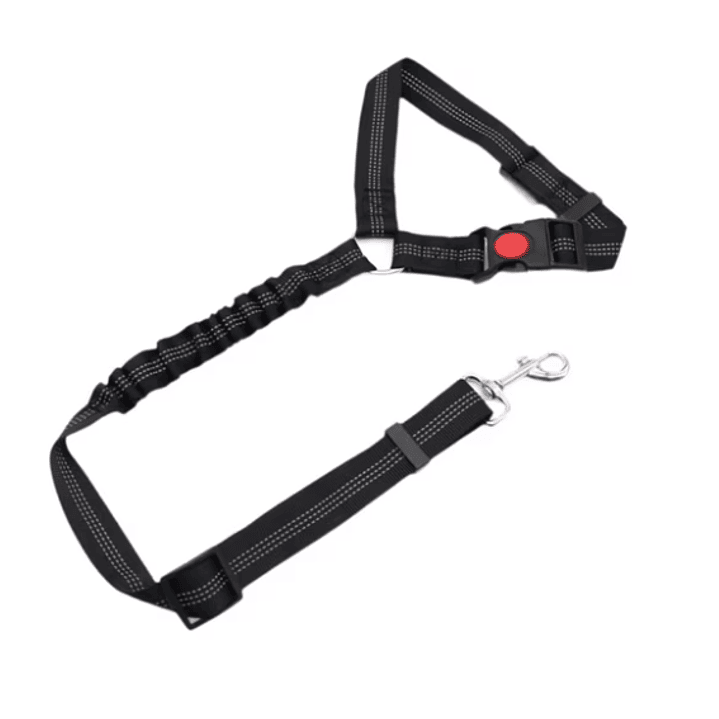 CORREA de Seguridad AUTO 1