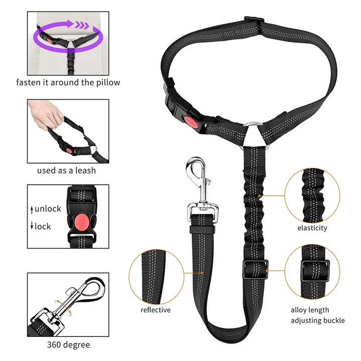 CORREA de Seguridad AUTO 2