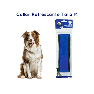 Collar Refrescante - M -45*6cm 100gr