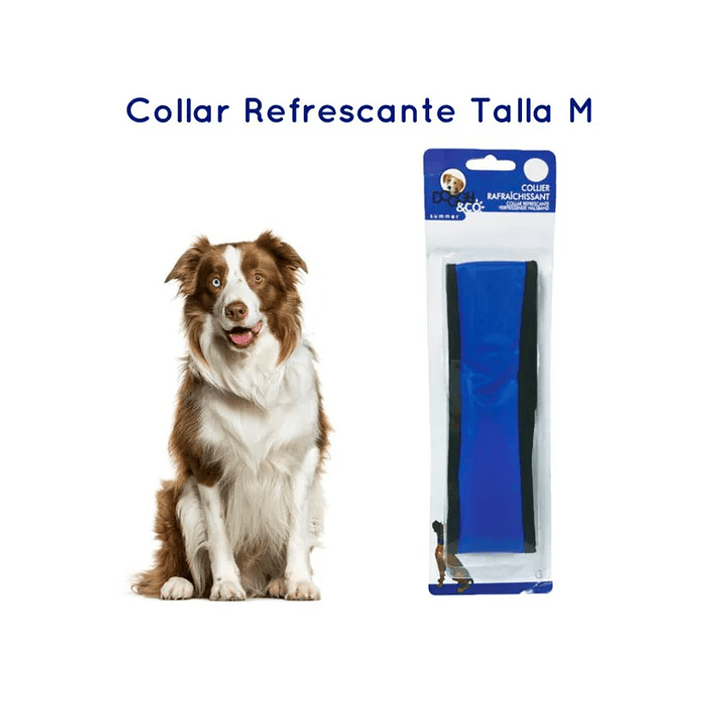Collar Refrescante - M -45*6cm 100gr 1