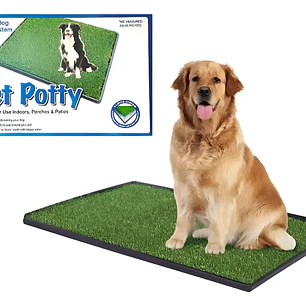 Pasto Sintetico - XL