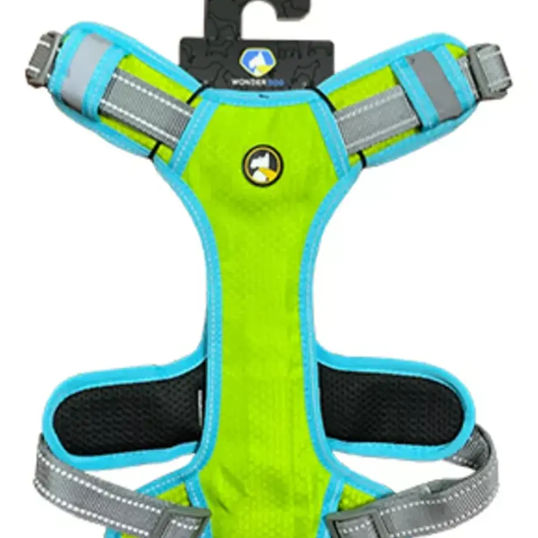 WONDER DOG - AZUL/VERDE - Talla S  1
