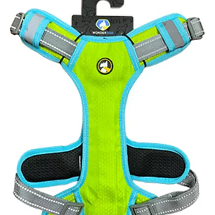 WONDER DOG - AZUL/VERDE - Talla S 
