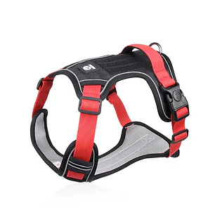 WONDER DOG - Doumm - Talla M 