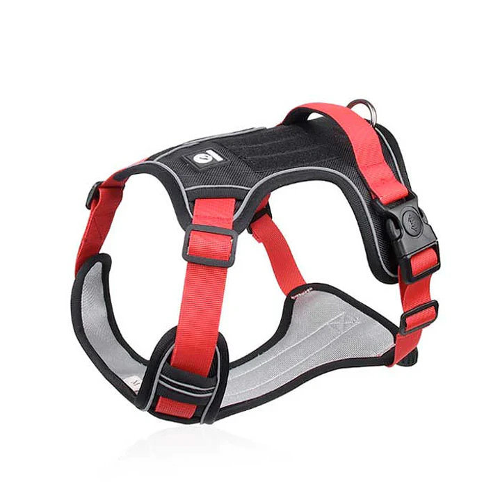 WONDER DOG - Doumm - Talla M  1