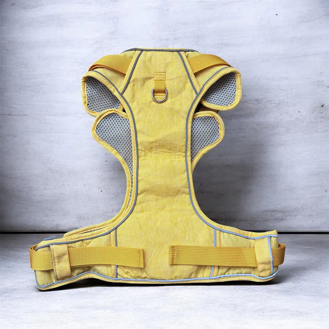 BABY PETS - Dingke - Talla L 1