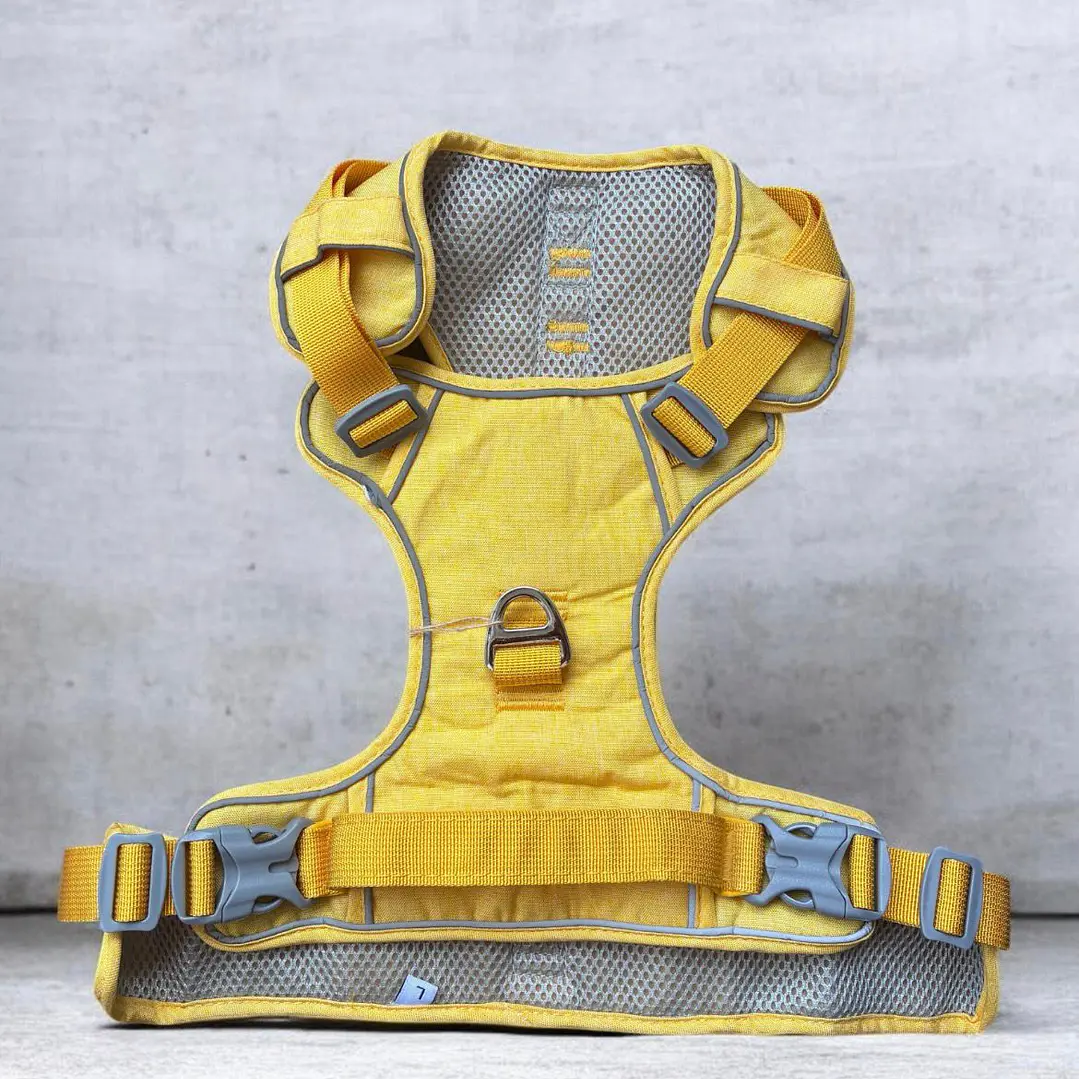 BABY PETS - Dingke - Talla L 2