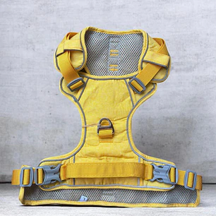 BABY PETS - Dingke - Talla L