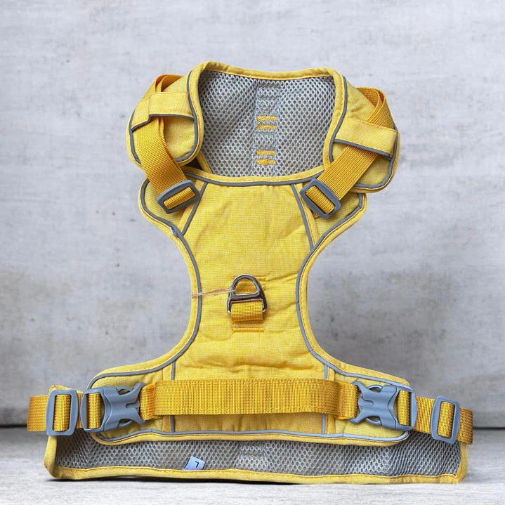 BABY PETS - Dingke - Talla L 2