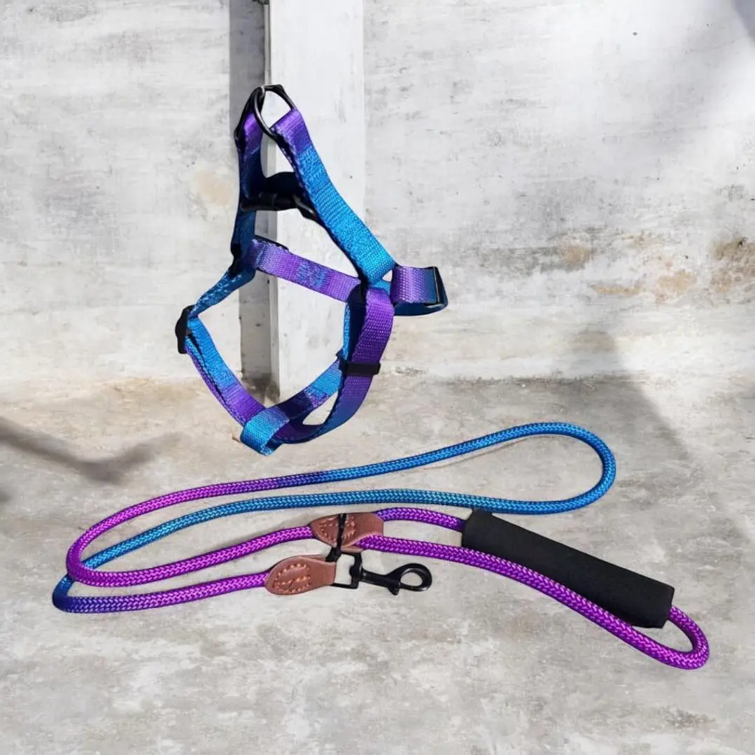 BABY PETS - Arcoiris + CORREA - Talla M 1