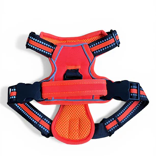 BABY PETS - Strong - Talla S