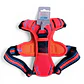 BABY PETS - Strong - Talla S - Miniatura 2