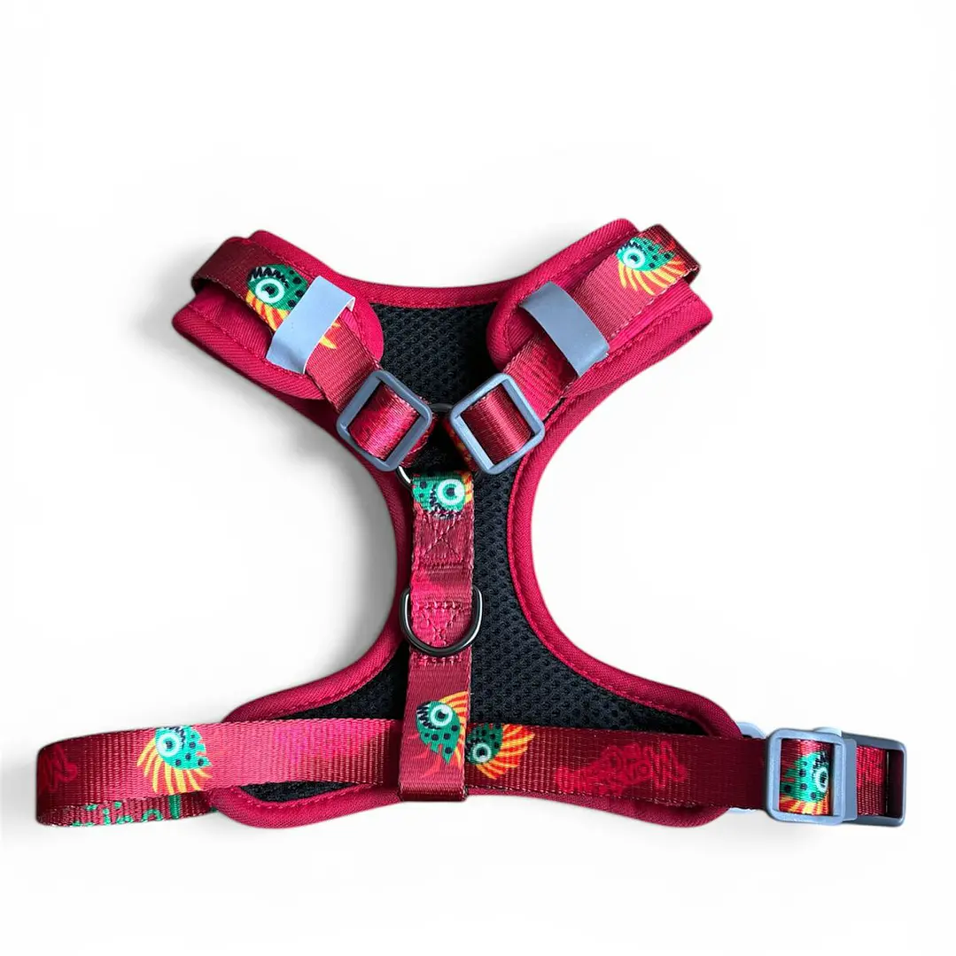 WONDER DOG - Monster - Talla S  2
