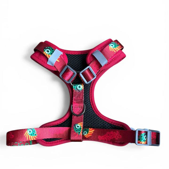 WONDER DOG - Monster - Talla S  2