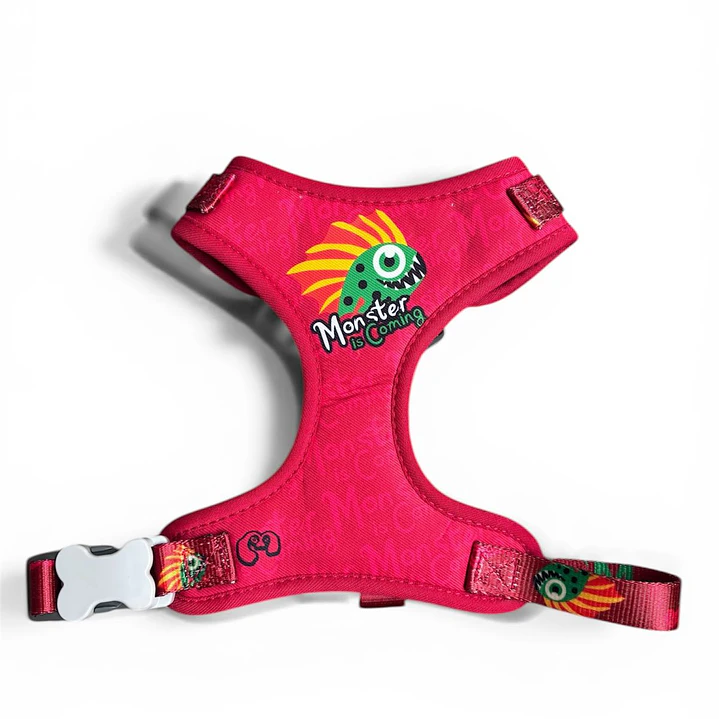 WONDER DOG - Monster - Talla S  1