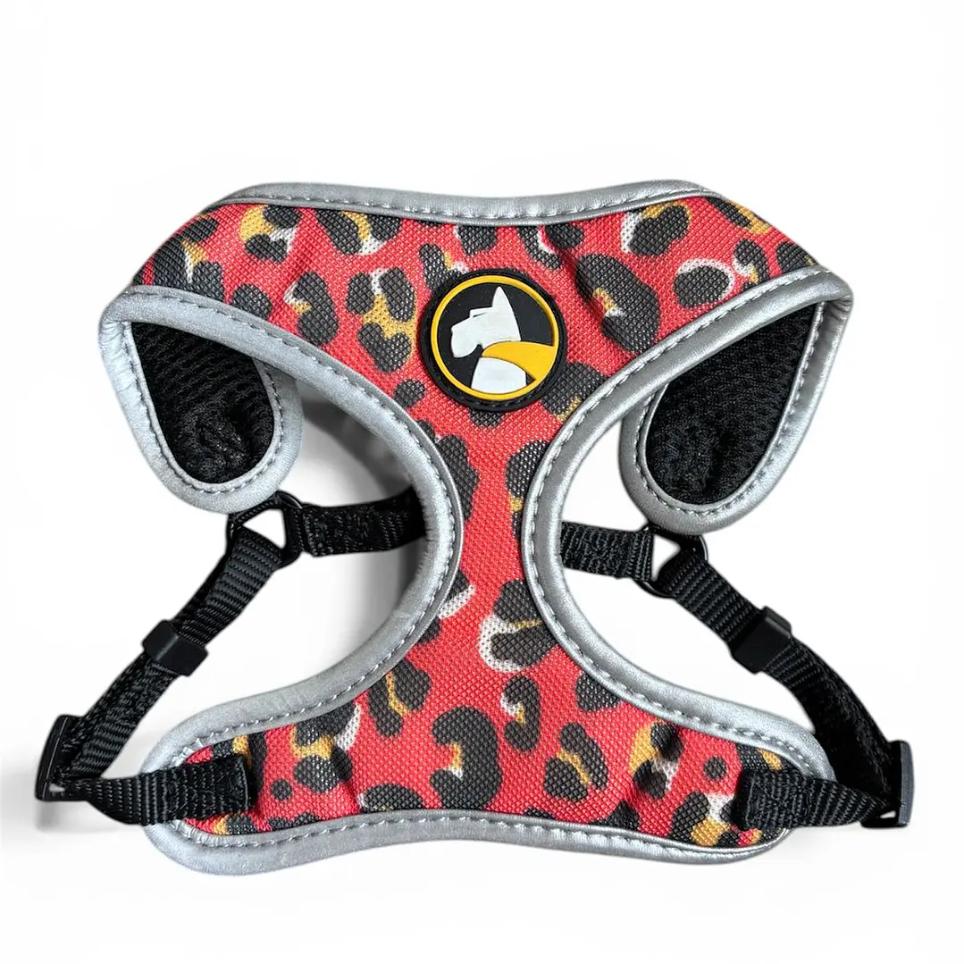 WONDER DOG - Amy - Talla S  1