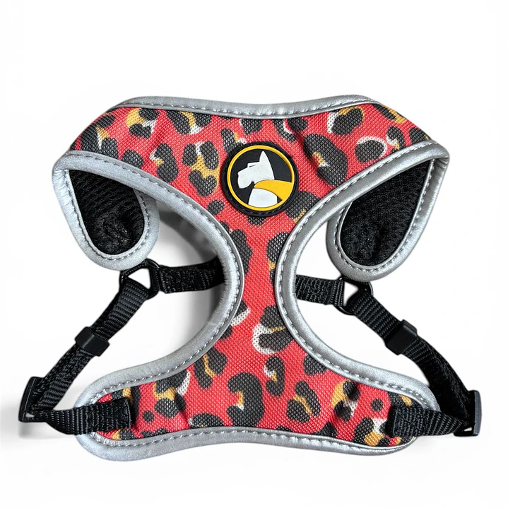 WONDER DOG - Amy - Talla S  1
