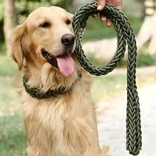 WONDER DOG - Trailla Trenzada 30mm*120cm Mosqueton