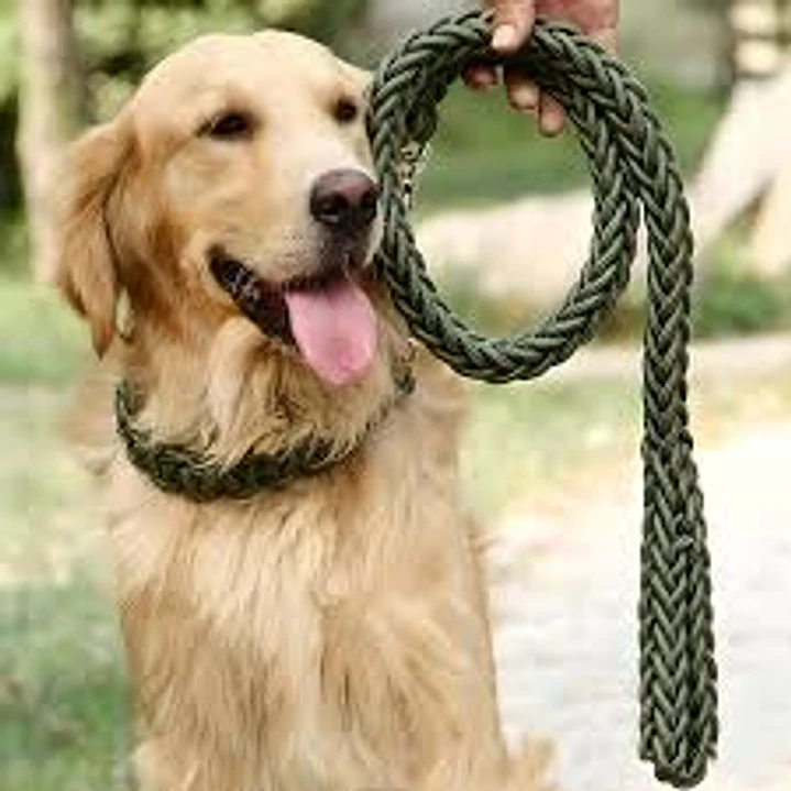 WONDER DOG - Trailla Trenzada 30mm*120cm Mosqueton 1