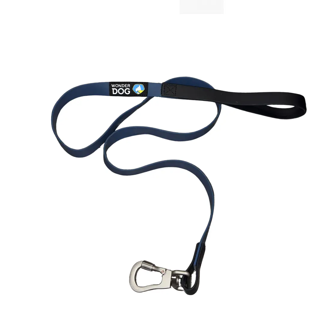 WONDER DOG - Impermeable Talla M (PVC Azul) 1