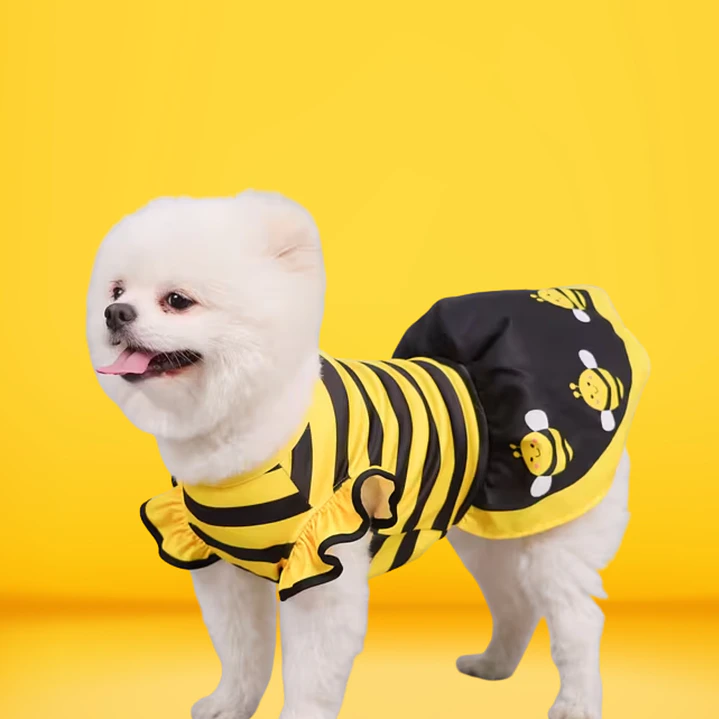 Vestido Collection FASHION PAW- Talla S 1