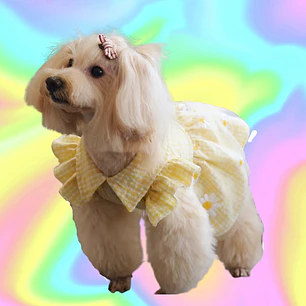 Vestido FASHION PAW Collection - Talla M