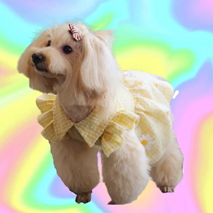 Vestido FASHION PAW Collection - Talla M 1