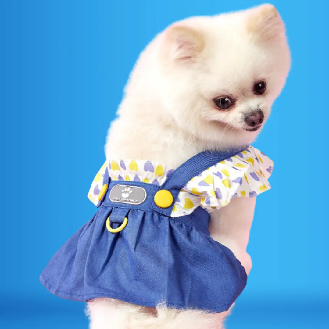 Vestido FASHION PAW Collection - Tala L 1