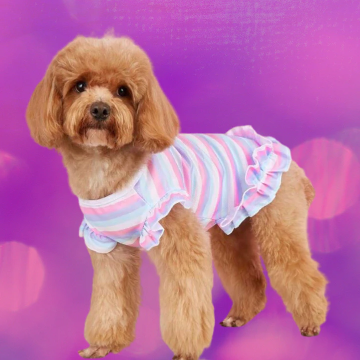 Collection SUNSHINE - Talla S 1