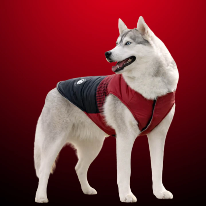 CHAQUETA CON CUADROS Talla M 1