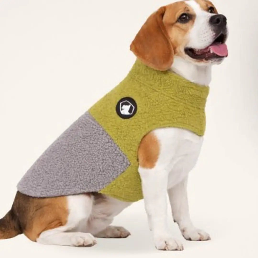 CHAQUETA CHIPORRO - Talla L 1