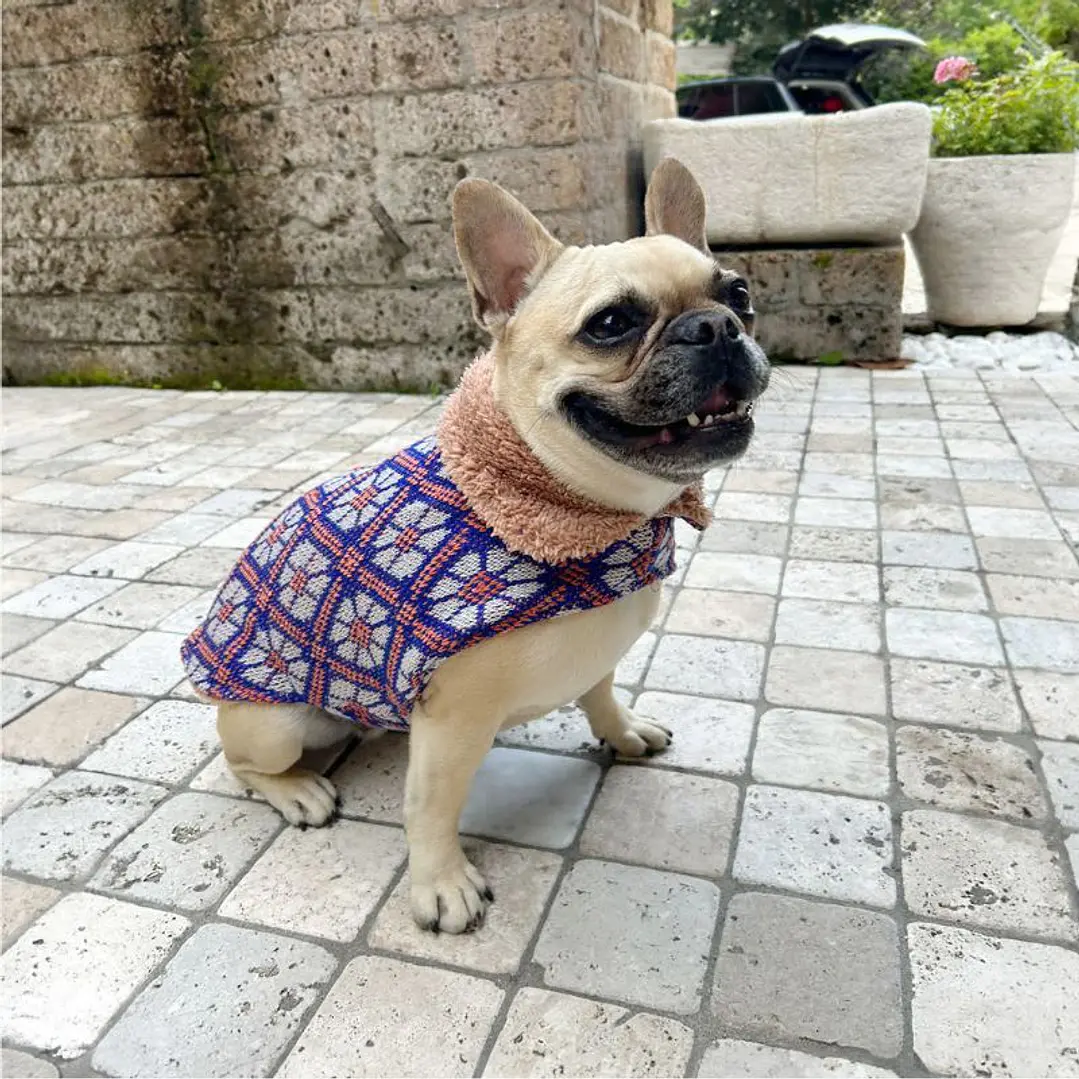 Eco capa Rayen Azul - Talla L 1