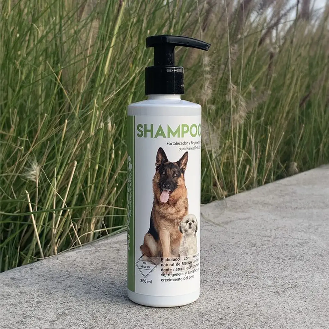 SHAMPOO Kawell- Matico 250 ml 1