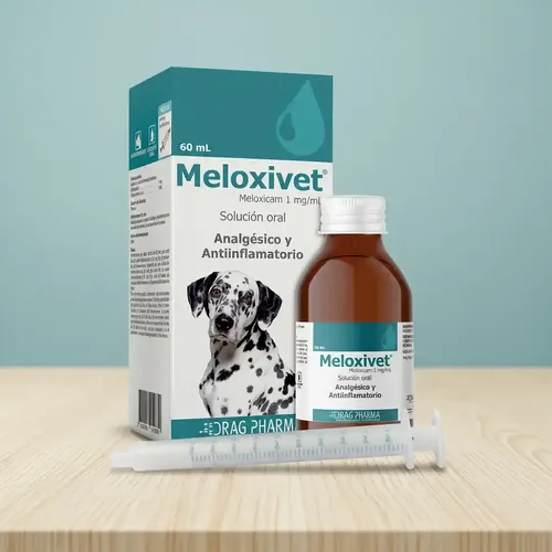 Drag Pharma – Meloxivet Perros Solución Oral 60 ml 1