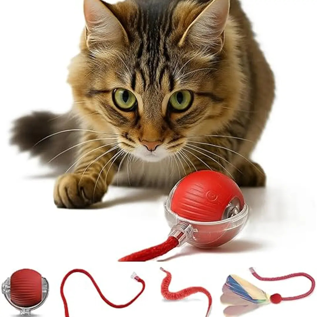 Juguete Electrónico Bola con Libelula - con movimiento 1